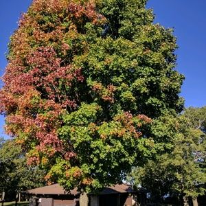 Meet your Posher, Janell